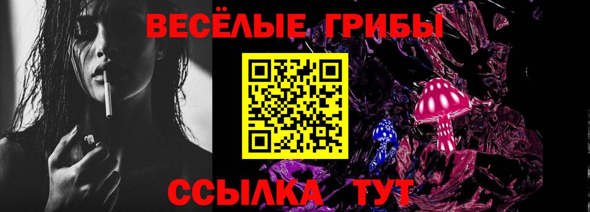 Псилоцибиновые грибы MAGIC MUSHROOMS Краснознаменск
