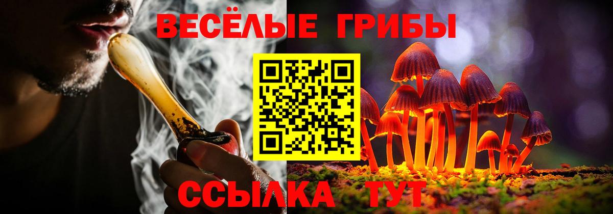 Краснознаменск  Галлюциногенные грибы Cubensis  Вход с VPN 