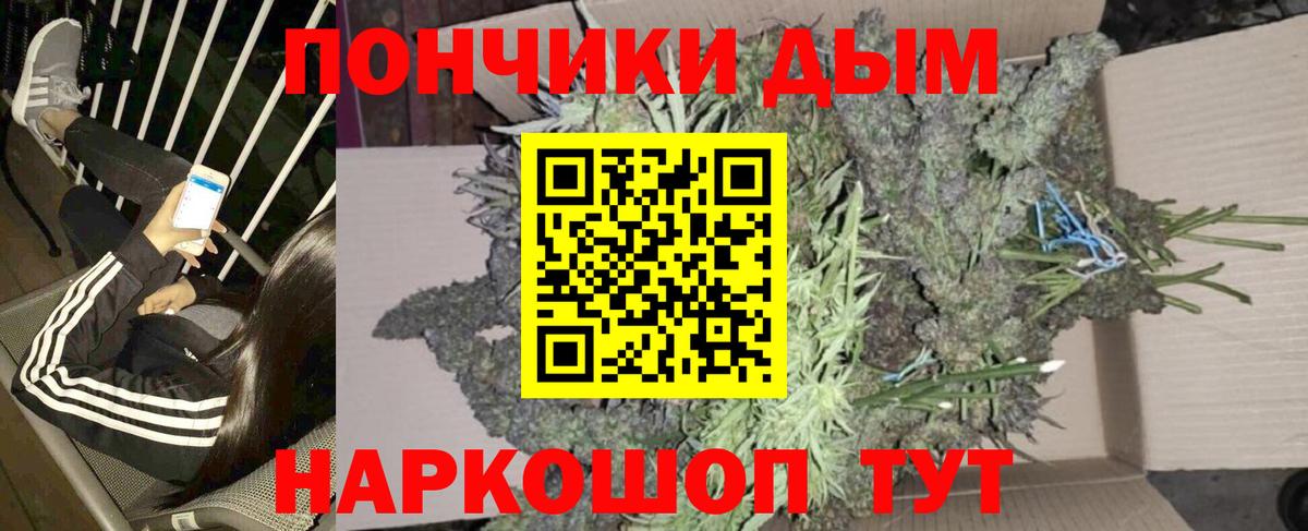 Шишки марихуана тримм  МАРИХУАНА сатива  Вход с VPN  Краснознаменск  Конопля VHQ  МАРИХУАНА план 